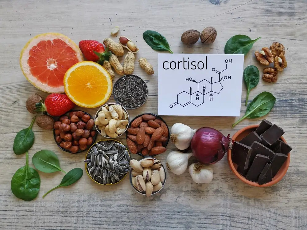 Verschiedene gesunde Lebensmittel wie Nüsse, Orangen, Grapefruit, Erdbeeren, Spinat, Knoblauch, Zwiebeln und dunkle Schokolade, die dabei helfen können, den Cortisolspiegel auf natürliche Weise zu regulieren.