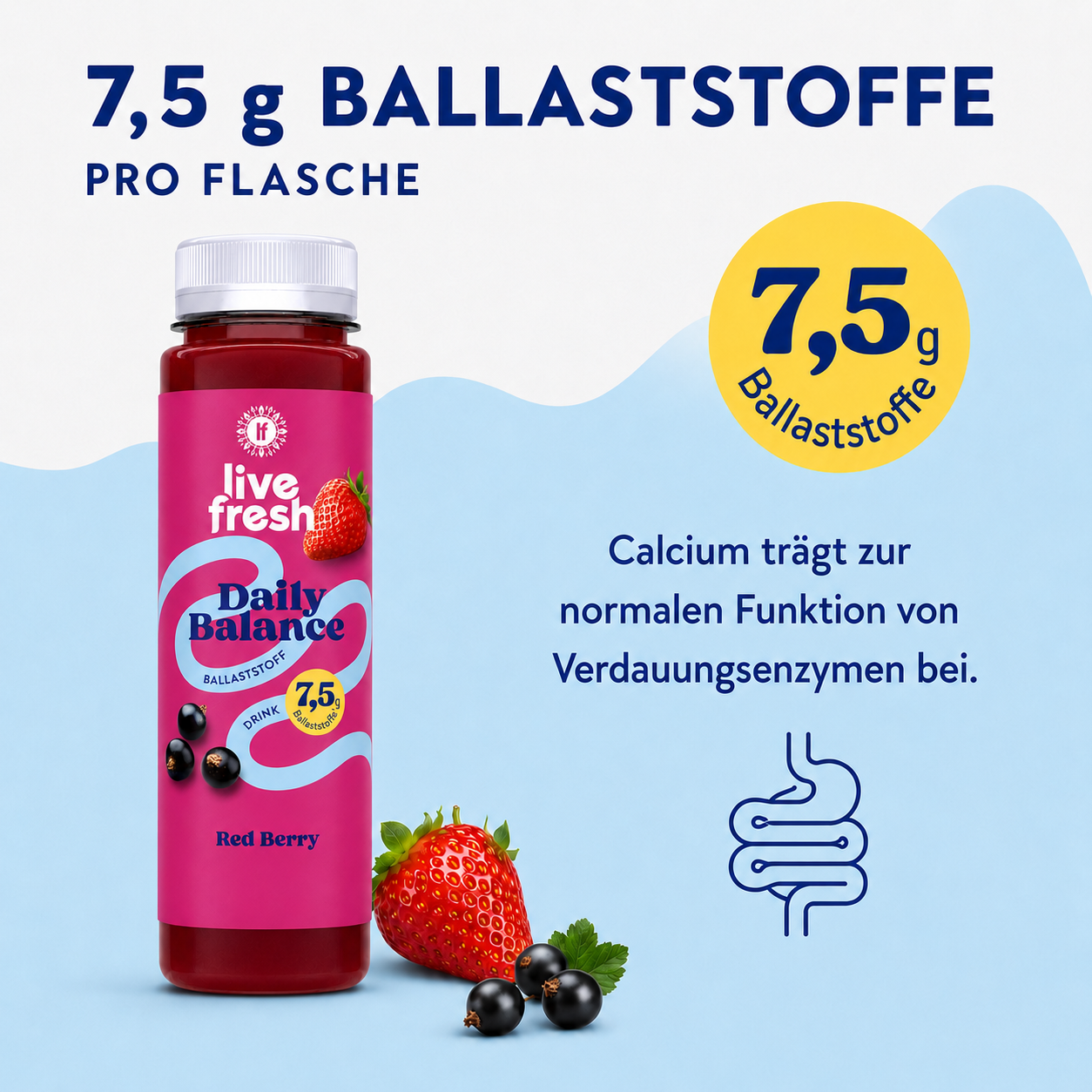 Pinke Flasche des „live fresh Daily Balance Ballaststoff Drink Red Berry“ mit Erdbeere und schwarzen Johannisbeeren. Der Schwerpunkt liegt auf 7,5 g Ballaststoffen pro Flasche. Sichtbarer Text. „7,5 g BALLASTSTOFFE PRO FLASCHE“. Gelber Kreis. „7,5 g Ballaststoffe“. Auf der Flasche. „live fresh“. „Daily Balance“. „BALLASTSTOFF“. „DRINK“. „7,5 g Ballaststoffe“. „Red Berry“. Rechts. „Calcium trägt zur normalen Funktion von Verdauungsenzymen bei.“