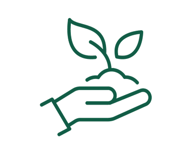 Grünes Icon, bei der eine Hand eine Pflanze mit zwei Blättern und Erde in der Hand hält. Symbolisch für Nachhaltigkeit. 