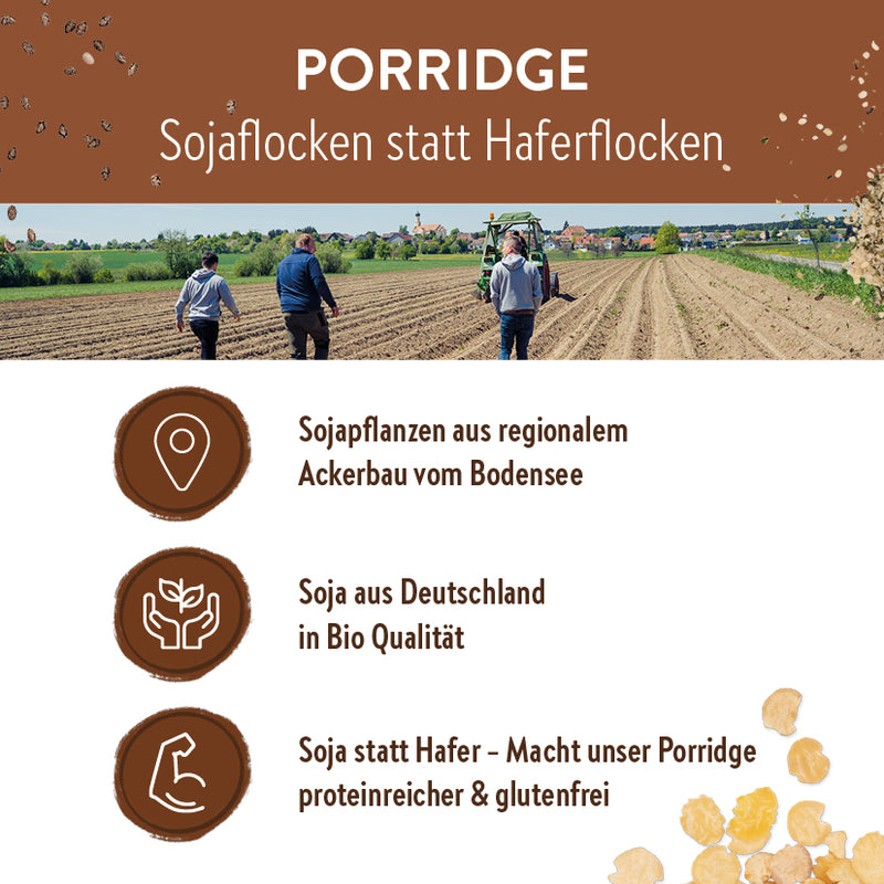 Porridge - Low Carb High Protein - Bio & Vegan - 420g