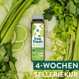 BIO Sellerie Kur - 2 oder 4 Wochen