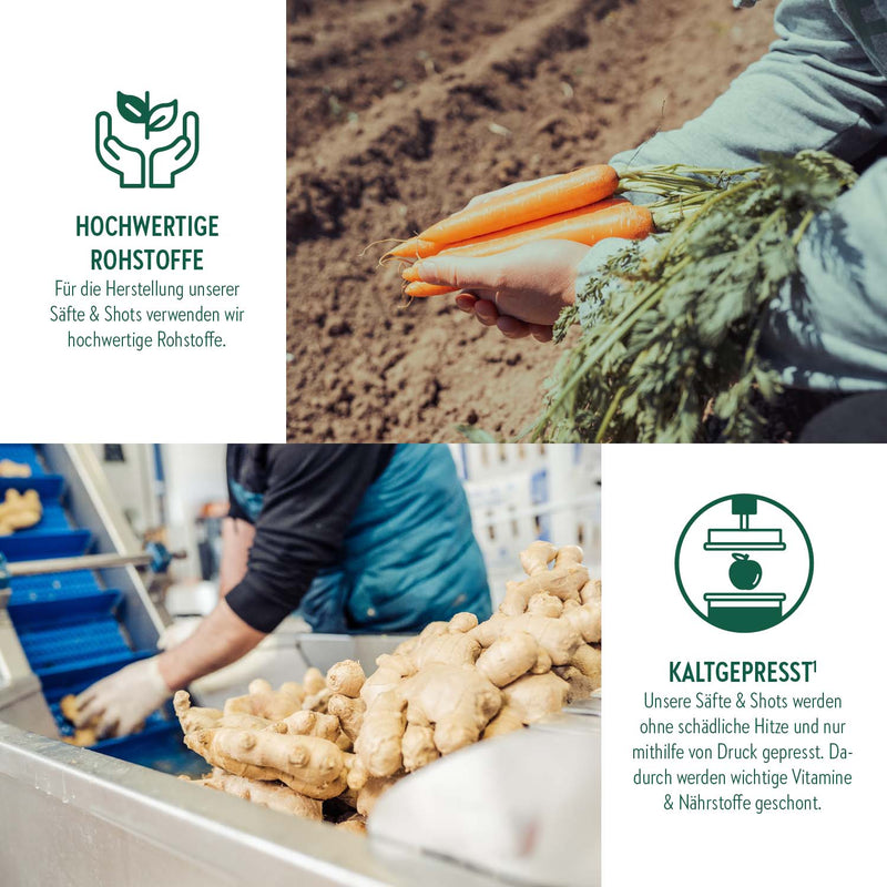 Kaltgepresster¹ Shot - Kurkuma Power - 60ml