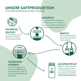 BIO Sellerie Kur - 2 oder 4 Wochen